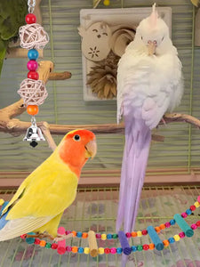 10PCS Bird Toys Set Swing Chewing Training Toys Bird Perch Stand Parrot Toy for Budgerigar Parakeet Conure Cockatiel Mynah