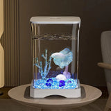 4K High-definition Desktop Fish Tank Acrylic Fish Tank Detachable Transparency Small Tank Multipurpose Amphibian Feeding Box