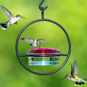 1pc//2pcs/3pcs Beautiful Hanging Hummingbird Feeder, Metal Bottle Humming Bird Feeder With Circular Metal Holder And Perch