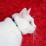 6-Pack Reflective Cat Collars with Bell, Safe Breakaway Nylon, Mixed Colors, Ideal for Cats, Includes Charms.