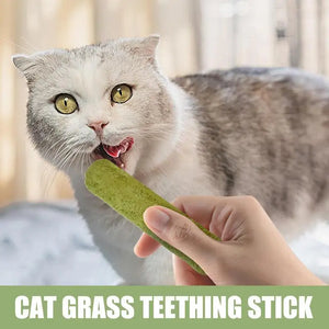 Cat Grass Teeth Grinding Stick Pet Snacks Hairball Removal Mild Hair Row Ready To Eat Baby Cat Teeth Cleaning Cat Grass Stick