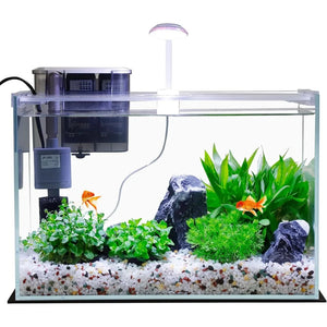 5-Gallon Glass Betta Fish Tank Starter Kit Including Filter, Lighting, and Lid