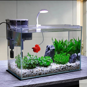 5-Gallon Glass Betta Fish Tank Starter Kit Including Filter, Lighting, and Lid